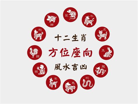 生肖 座向|十二生肖宅運大公開